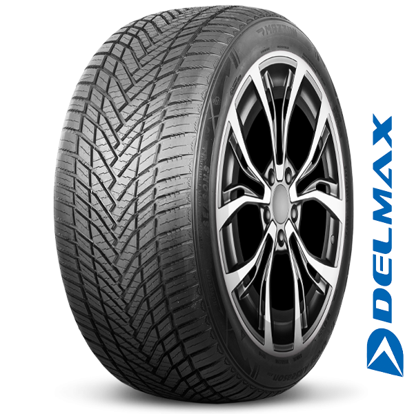 DELMAX X-WEATHER 4S 225/55ZR19 99V