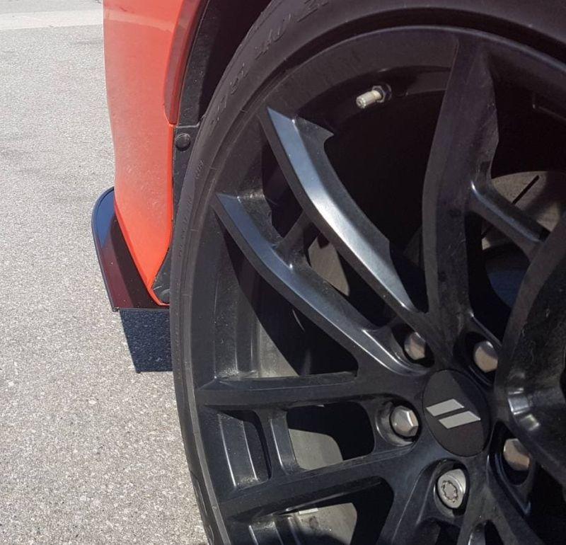 2015+ Dodge Charger SCAT PACK/hellcat/daytona 392/srt 392/srt Rear Spats