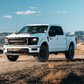 Roush 15-25 Ford F-150 - 2In Performance Suspension System
