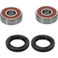 Pivot Works Premium Wheel Bearing