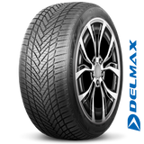 DELMAX X-WEATHER 4S 225/55ZR19 99V
