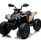 24V Can Am Renegade 1-Seater Kids ATV