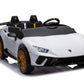 24V Lamborghini Huracan 2 Seater Kids' Electric Ride-On
