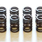 HKS 91-00 Infiniti G20 SR20DET Outer Valve Spring Set