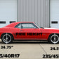 Ridetech 1967-1969 GM F-Body Composite Leaf Springs 1967-1969 GM F-Body