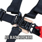 PRP 4.2 Harness with Latch / Link Lap Belt- Blue