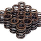 BLOX Racing Dual Valve Springs for DOHC VTEC