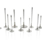 Ferrea Toyota Supra B58 3.0L 28.5mm 5.96mm 99.8mm 21 Deg Tpr Flo STD Comp Plus Exh Valve - Set of 12