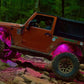 Oracle Bluetooth + RF Underbody Rock Light Kit - 8 PCS - ColorSHIFT