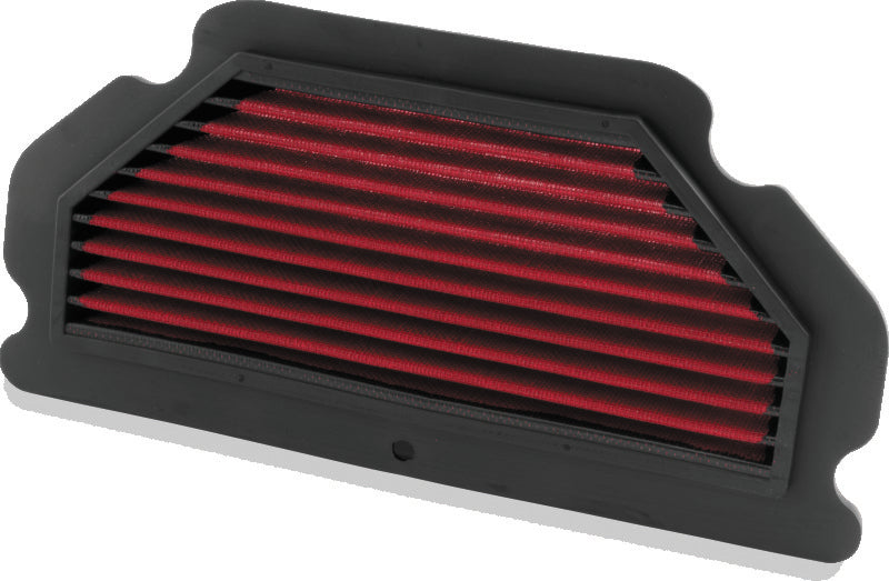 BikeMaster 2002 Kawasaki ZX600 / Ninja ZX-6RR Air Filter