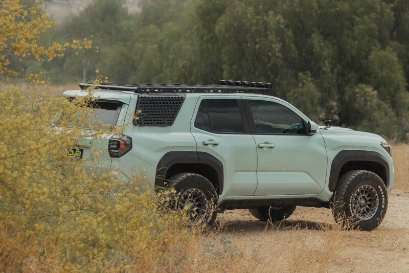 DV8 Offroad 25-26 Toyota 4Runner Exterior Window Molles (Use w/ PN dveRRTF3-02) - Driver & Passenger