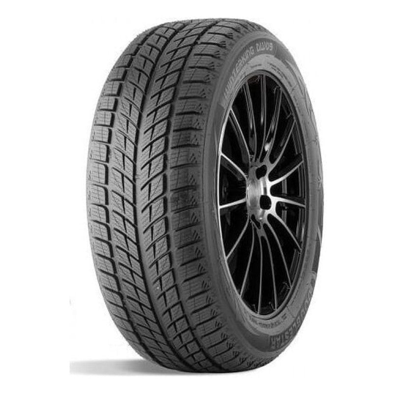 DOUBLESTAR 215/45R17 91H DOUBLESTAR WINTERKING DW09 STUDLESS SNOW TIRE [ EJ3] Tire
