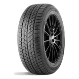 DOUBLESTAR 215/45R17 91H DOUBLESTAR WINTERKING DW09 STUDLESS SNOW TIRE [ EJ3] Tire