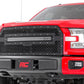 Mesh Grille | 30" Dual Row LED | Black Ser | Ford F-150 2WD/4WD (2015-2017)