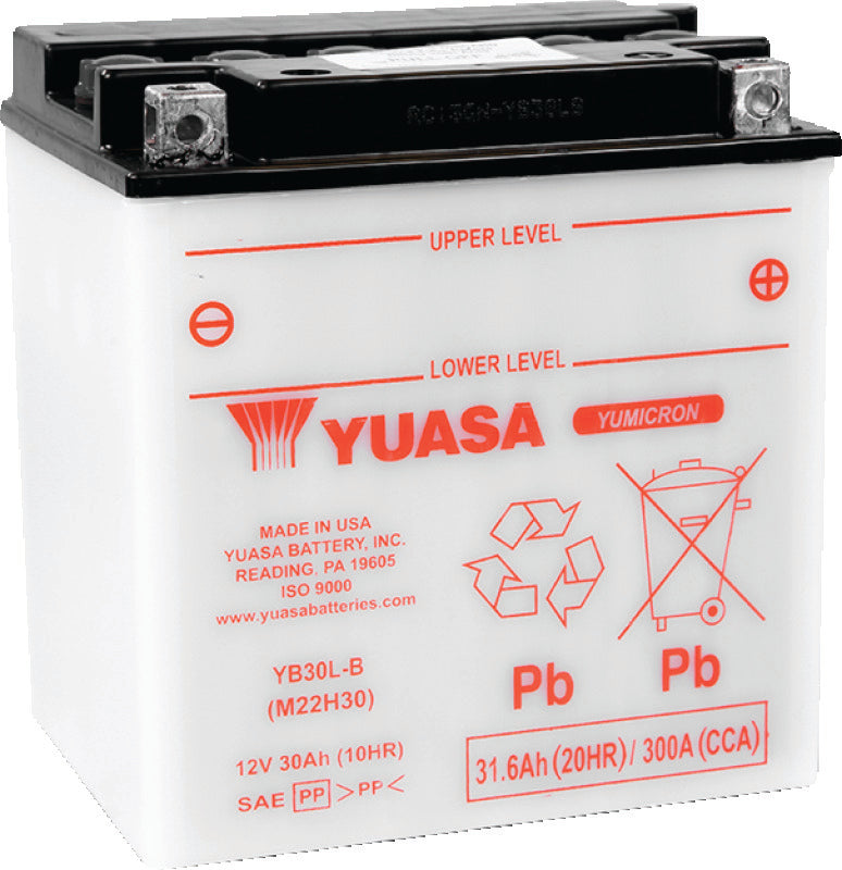 Yuasa YB30L-B Yumicron CX 12-Volt Battery