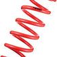 Tanabe NF210 Springs 06-07 GS300
