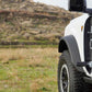 DV8 Offroad 2021+ Ford Bronco Foot Peg Pair - Black