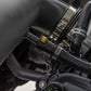 Cold Air Intake Kit | 5.0L | Ford  F-150 2WD/4WD (2021-2025)