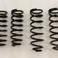 RS-R 01-06 Lexus LS430 (UCF30/31) Down Sus Springs