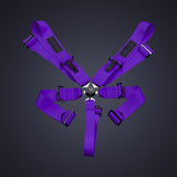 Racing Harness (Comp Spec/5-Point)