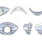 Burly Brand Touring Sport Fairing Tall