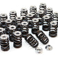 GSC P-D Toyota 2JZ Beehive Valve Springs & Ti Retainer Kit (Check Fitment of Spring Base)