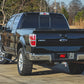 Power Running Boards | Crew Cab | Ford F-150 (2009-2014)