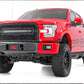 Mesh Grille | 30" Dual Row LED | Black Ser | Ford F-150 2WD/4WD (2015-2017)