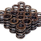 BLOX Racing Dual Valve Springs for DOHC VTEC