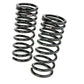RS-R 09-13 Honda Fit (GE8) Down Sus Springs