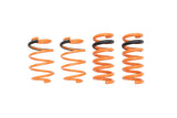 Ford Mustang 15-23 / 2024+ (W/ Magneride) Lowering Springs – MR-LS-FM15-MG