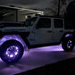 Oracle LED Illuminated Wheel Rings - White
