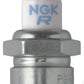 NGK Single Platinum Spark Plug Box of 4 (BUR7EQP)