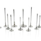 Ferrea Acura K20 35mm 5.47mm 109.3mm 20 Deg S-Flo Radius Grv Stock 6000 Series Intake Valve-Set of 8