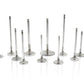 Ferrea BMW N54 28mm 5.96mm 114.75mm 19 Deg Taper Flo Stk Trpl Groove Comp Plus Exh Valve - Set of 12