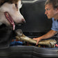 Husky Liners 07-12 Chevrolet Silverado/GMC Sierra Crew Cab Husky GearBox