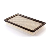 Air Filter 57-46390 For Ford E-350 Econoline Club Wagon Super Duty E-450 E-550 2 Required
