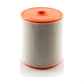 Air Filter 57-49243 For Audi A6 Quattro A7 S6 S7 A8 RS7 Sportback