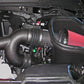 Roush 2015-2017 F-150 2.7L/3.5L EcoBoost Cold Air Kit (Incl. Raptor)