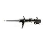 Rear Left Suspension Strut 78-72216 For Toyota Highlander Lexus RX330 RX350 RX400h