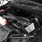 aFe MagnumFORCE Pro DRY S Stage-2 Intake System 16 Ford F-150 EcoBoost V6-2.7L/3.5L (tt)