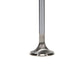 Manley Ford Coyote 5.0L DOHC 4 Valve 31mm Triple Groove Race Master Exhaust Valves (Set of 8)