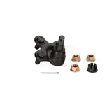 Front Lower Suspension Ball Joint TOR-K500366 For Honda Civic CR-V