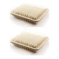 Air Filter (2 Pack) For Mitsubishi Galant Eclipse Endeavor K57-100310