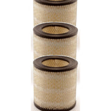 Air Filter (3 Pack) For Chevrolet Pontiac Buick Firebird Oldsmobile Cavalier Cutlass Ciera Century Camaro Fiero Regal Supreme Cruiser LLV K57-100482