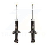 Rear Suspension Strut Pair For 2002-2006 Honda CR-V K78-100719
