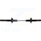 Rear Suspension Strut Pair For 1999-2003 Acura TL K78-100737