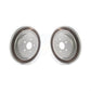 Rear Coated Disc Brake Rotors Pair For Lexus RX350 RX450h RX350L RX450hL KG-101365