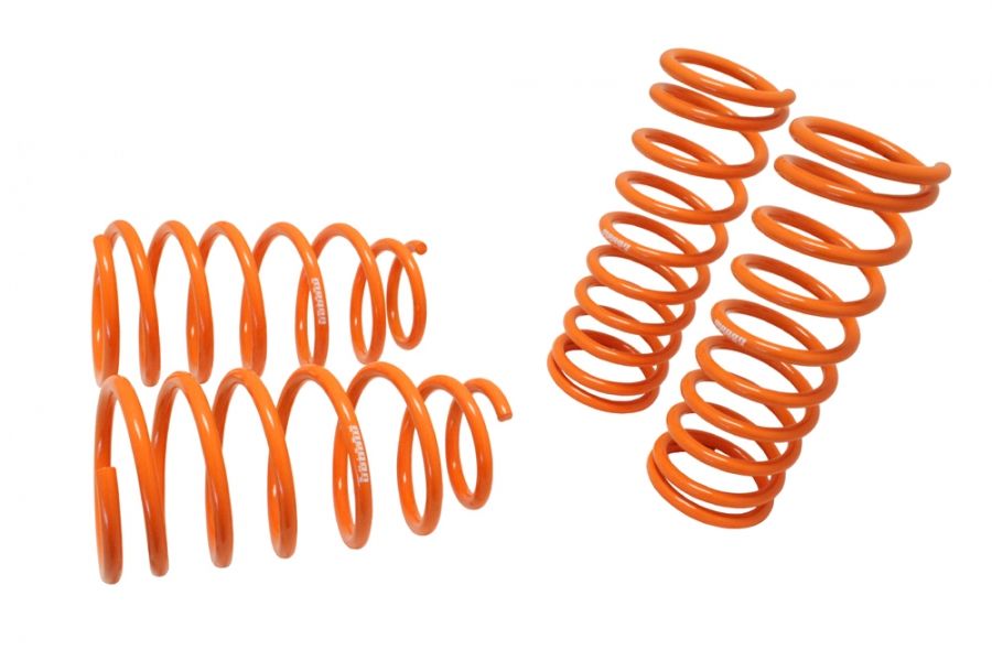 Lowering Springs for Kia Rio 00-05 - MR-LS-KR005