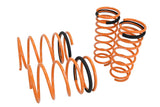 Lowering Springs for Nissan 300ZX 90-96 - MR-LS-N300